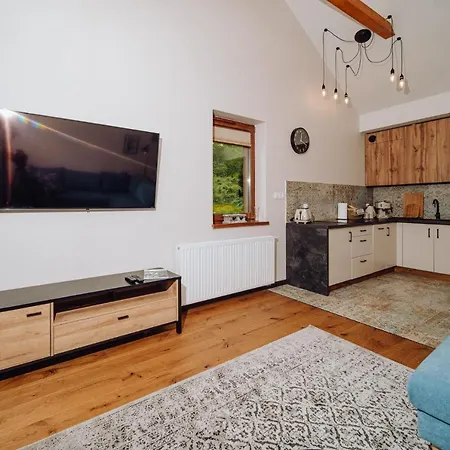 Silence Karpatia Turkus Apartment *