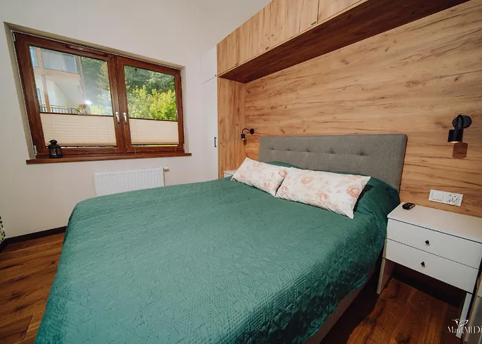 Silence Karpatia Turkus * 카르파츠